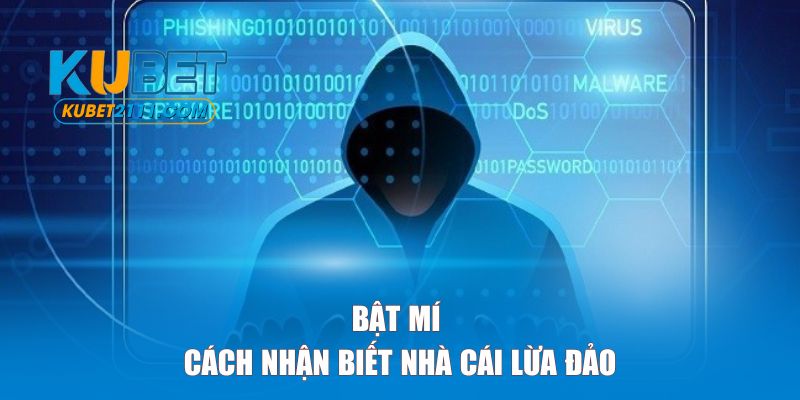 Bật mí cách nhận biết nhà cái lừa đảo dễ dàng