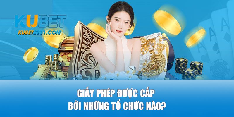 Giấy phép được cấp bởi những tổ chức nào?