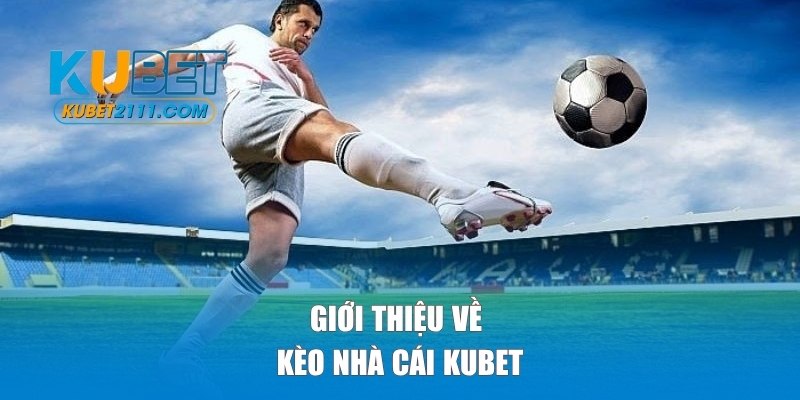 Giới thiệu về kèo nhà cái tại KUBET